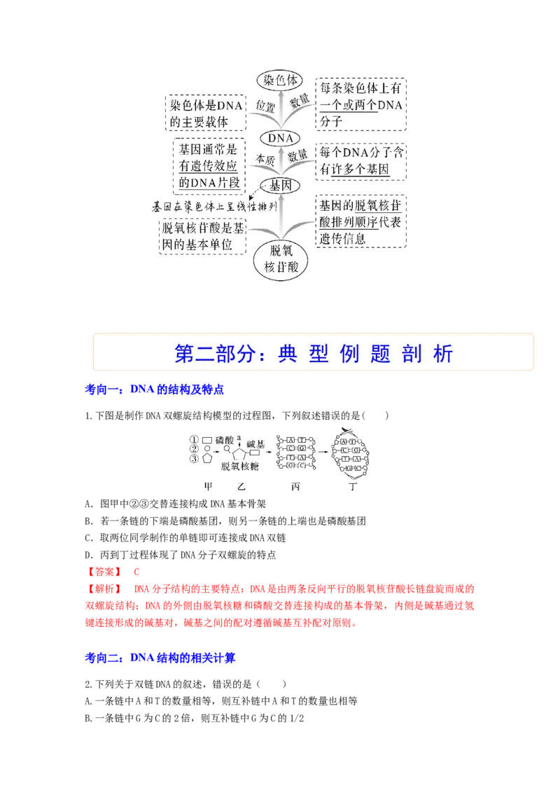 考点19DNA的分子结构、复制和基因本质（解析版）_通用版（老高考）复习资料_2023年复习资料_一轮复习_2023年高考生物一轮复习讲练测（全国通用）
