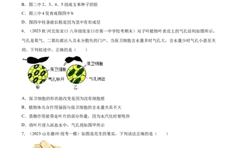 主题04植物的生活（原卷版）_6生物中考复习_2023年中考复习资料_二轮复习_2023年中考生物二轮复习讲练测_主题04植物的生活（测试）-2023年中考生物二轮复习讲练测_38943966