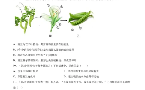 主题04植物的生活（原卷版）_6生物中考复习_2023年中考复习资料_二轮复习_2023年中考生物二轮复习讲练测_主题04植物的生活（测试）-2023年中考生物二轮复习讲练测_38943966