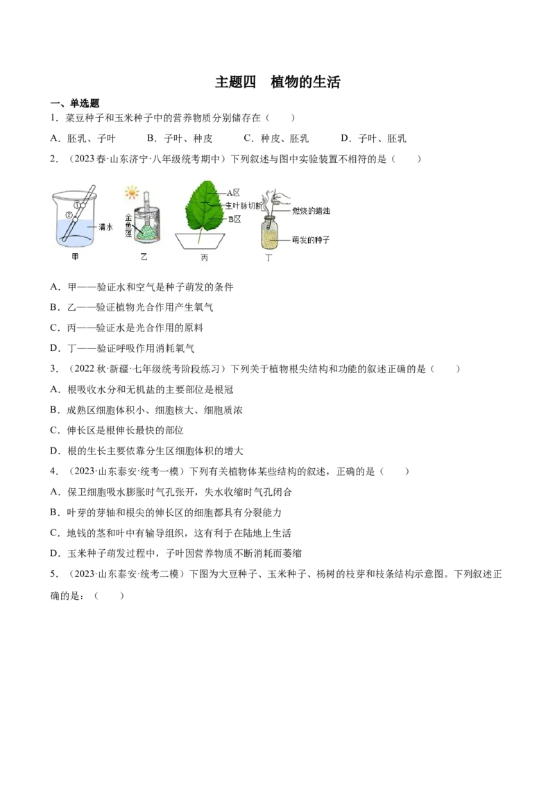 主题04植物的生活（原卷版）_6生物中考复习_2023年中考复习资料_二轮复习_2023年中考生物二轮复习讲练测_主题04植物的生活（测试）-2023年中考生物二轮复习讲练测_38943966