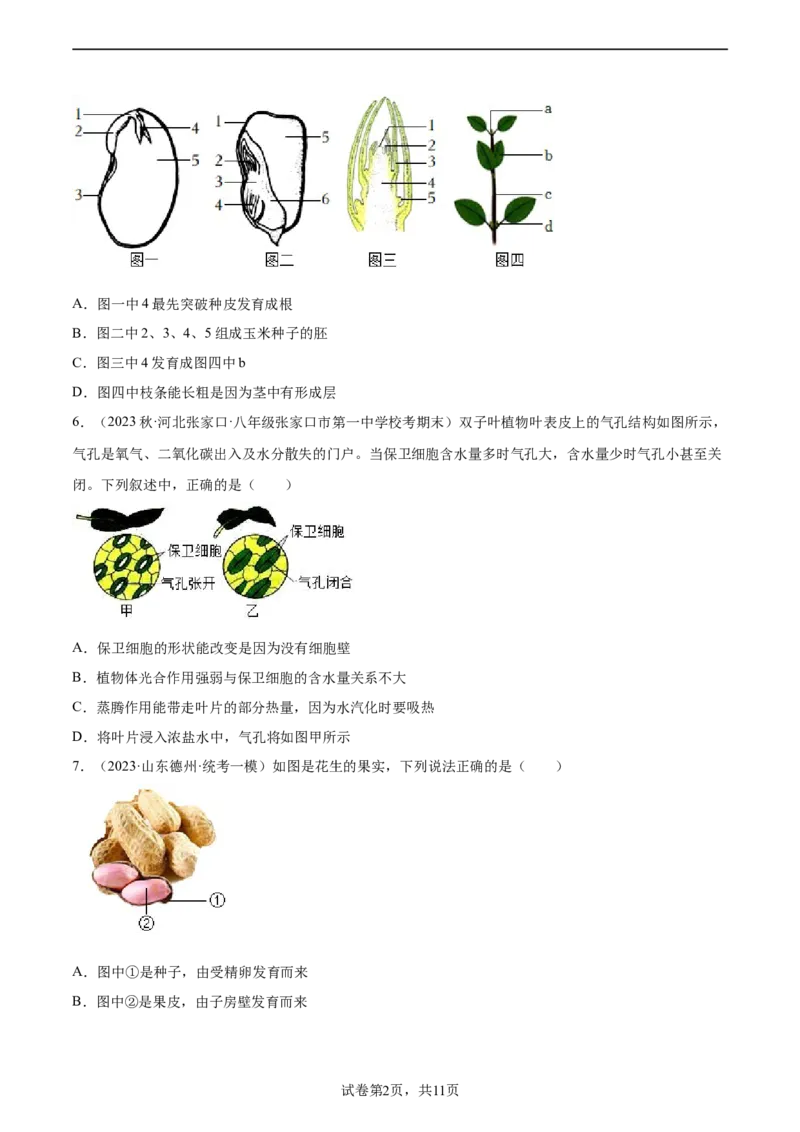 主题04植物的生活（原卷版）_6生物中考复习_2023年中考复习资料_二轮复习_2023年中考生物二轮复习讲练测_主题04植物的生活（测试）-2023年中考生物二轮复习讲练测_38943966
