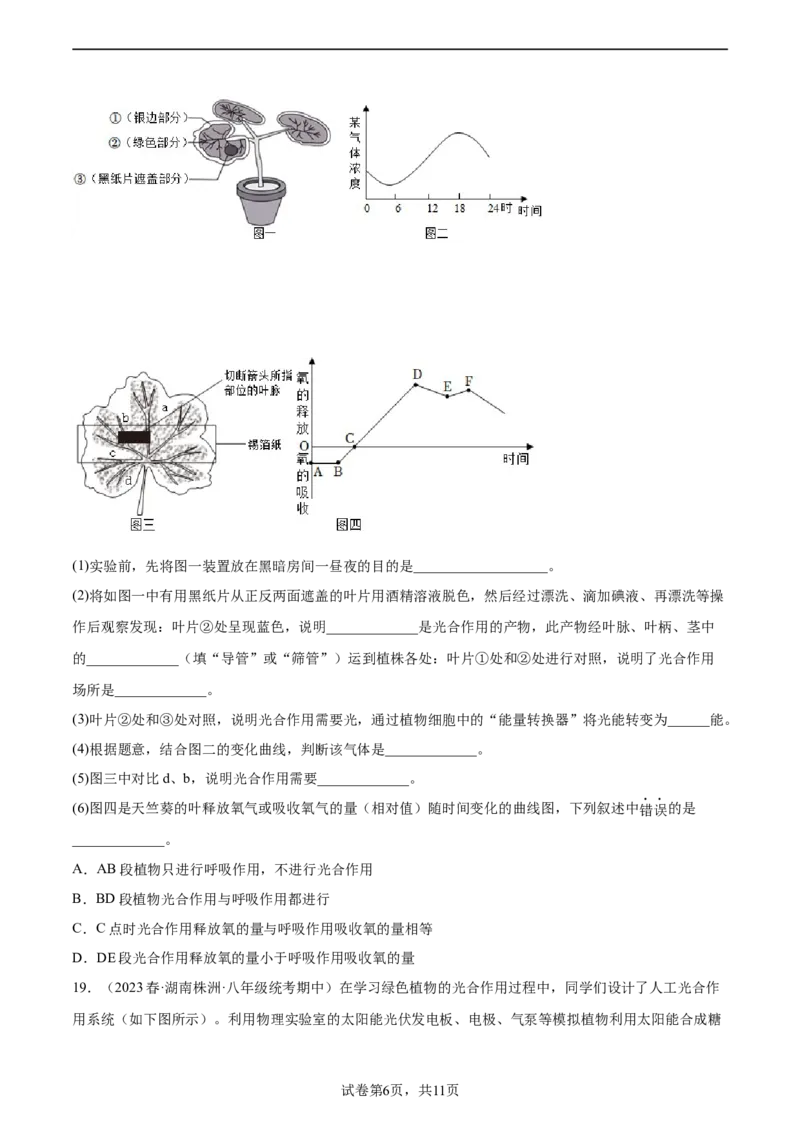 主题04植物的生活（原卷版）_6生物中考复习_2023年中考复习资料_二轮复习_2023年中考生物二轮复习讲练测_主题04植物的生活（测试）-2023年中考生物二轮复习讲练测_38943966