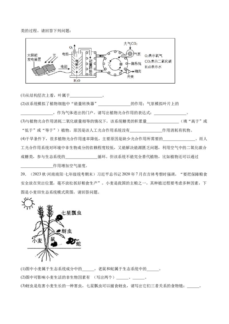 主题04植物的生活（原卷版）_6生物中考复习_2023年中考复习资料_二轮复习_2023年中考生物二轮复习讲练测_主题04植物的生活（测试）-2023年中考生物二轮复习讲练测_38943966