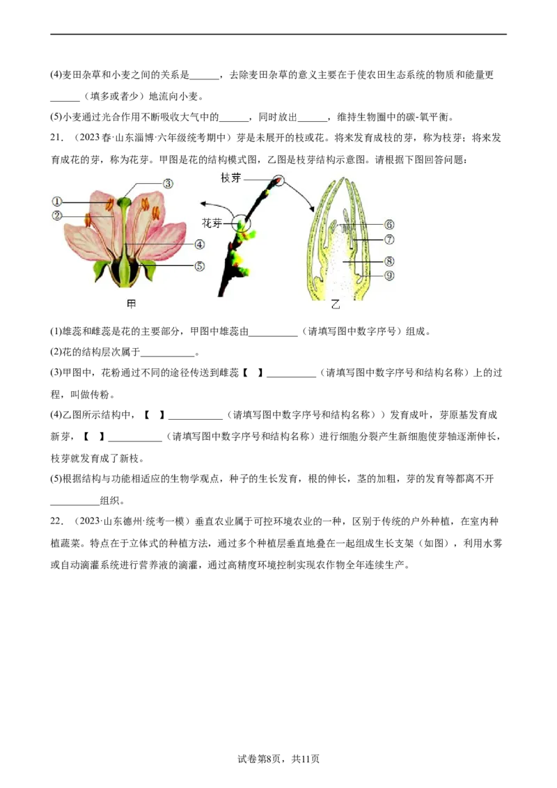 主题04植物的生活（原卷版）_6生物中考复习_2023年中考复习资料_二轮复习_2023年中考生物二轮复习讲练测_主题04植物的生活（测试）-2023年中考生物二轮复习讲练测_38943966