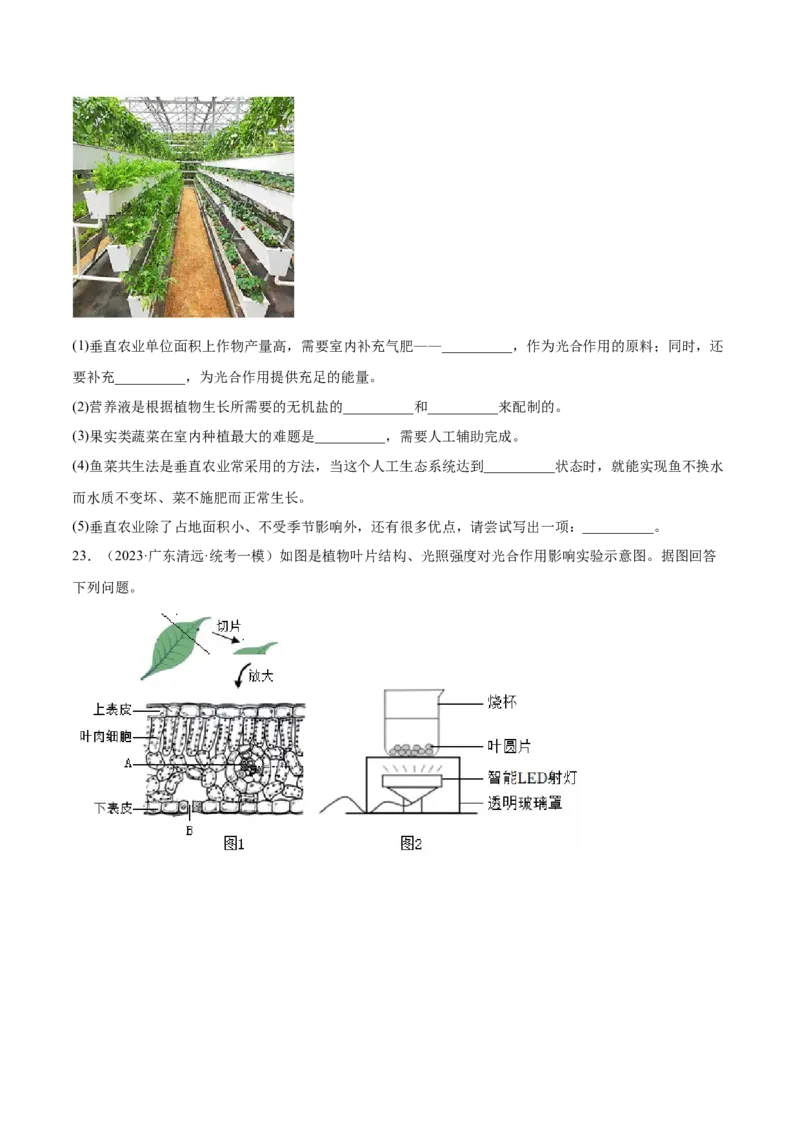 主题04植物的生活（原卷版）_6生物中考复习_2023年中考复习资料_二轮复习_2023年中考生物二轮复习讲练测_主题04植物的生活（测试）-2023年中考生物二轮复习讲练测_38943966