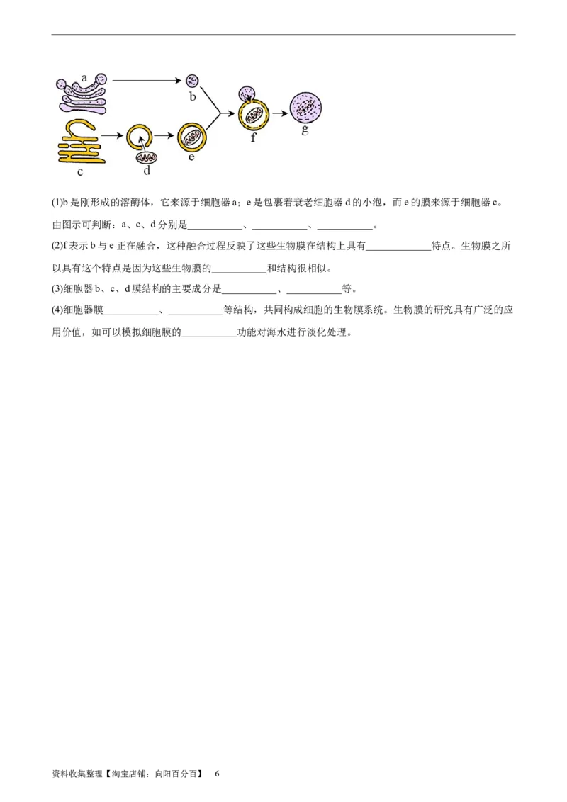考点通关卷06细胞器和生物膜系统（原卷版）_新高考复习资料_2024年新高考复习资料_一轮复习资料_完2024年高考生物一轮复习考点通关卷（新高考）_考点通关卷06细胞器和生物膜系统