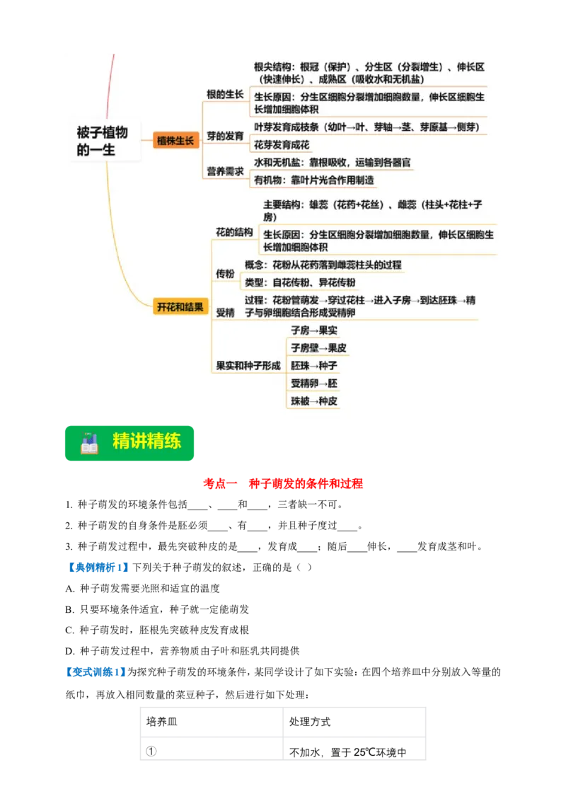 名师导航专题05被子植物的一生--2026年中考生物一轮复习学案（原卷版）_6生物中考复习_2026年中考复习（更新中）_2026年中考生物一轮复习学案（原版卷+解析版）
