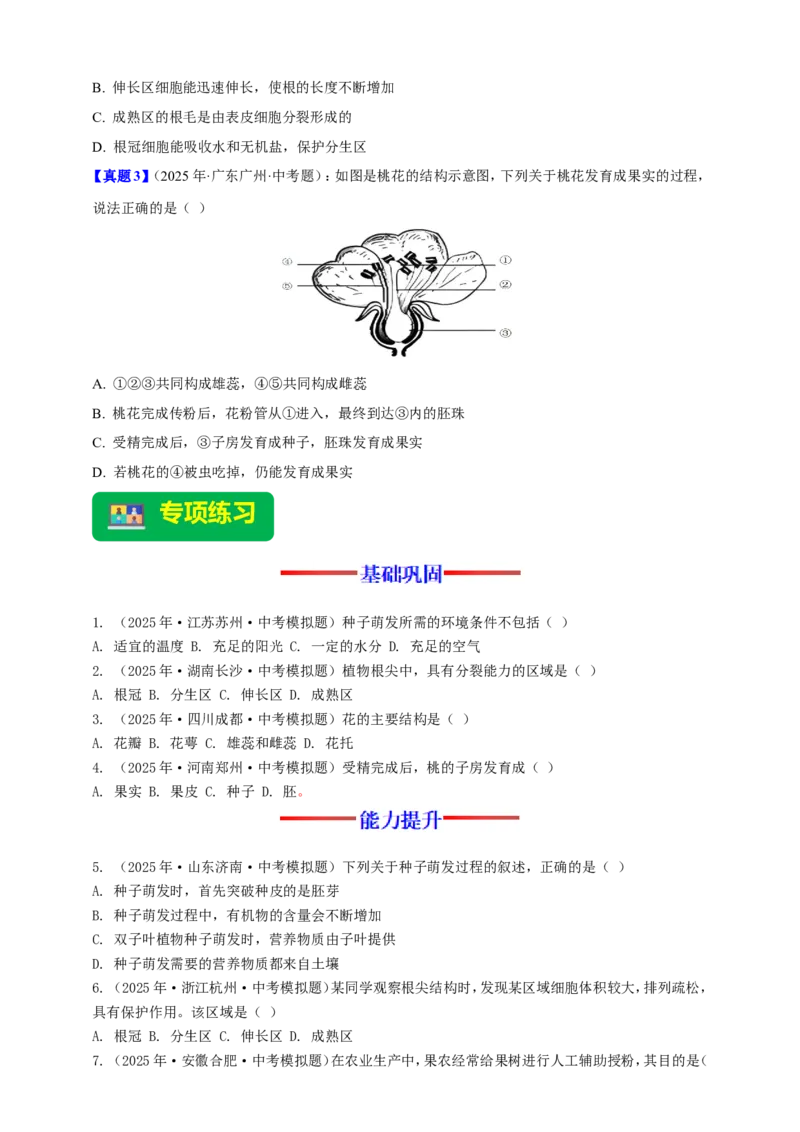 名师导航专题05被子植物的一生--2026年中考生物一轮复习学案（原卷版）_6生物中考复习_2026年中考复习（更新中）_2026年中考生物一轮复习学案（原版卷+解析版）