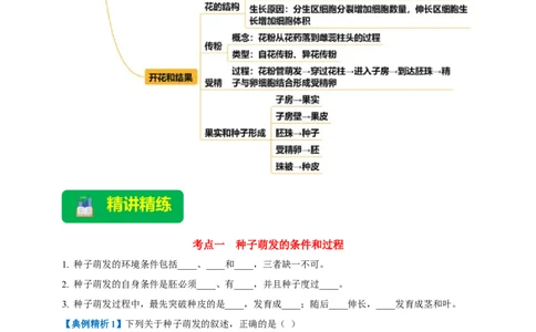 名师导航专题05被子植物的一生--2026年中考生物一轮复习学案（原卷版）_6生物中考复习_2026年中考复习（更新中）_2026年中考生物一轮复习学案（原版卷+解析版）