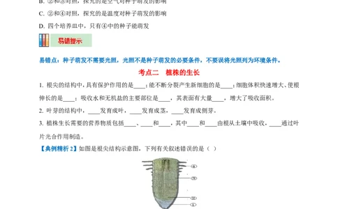 名师导航专题05被子植物的一生--2026年中考生物一轮复习学案（原卷版）_6生物中考复习_2026年中考复习（更新中）_2026年中考生物一轮复习学案（原版卷+解析版）