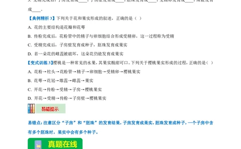 名师导航专题05被子植物的一生--2026年中考生物一轮复习学案（原卷版）_6生物中考复习_2026年中考复习（更新中）_2026年中考生物一轮复习学案（原版卷+解析版）