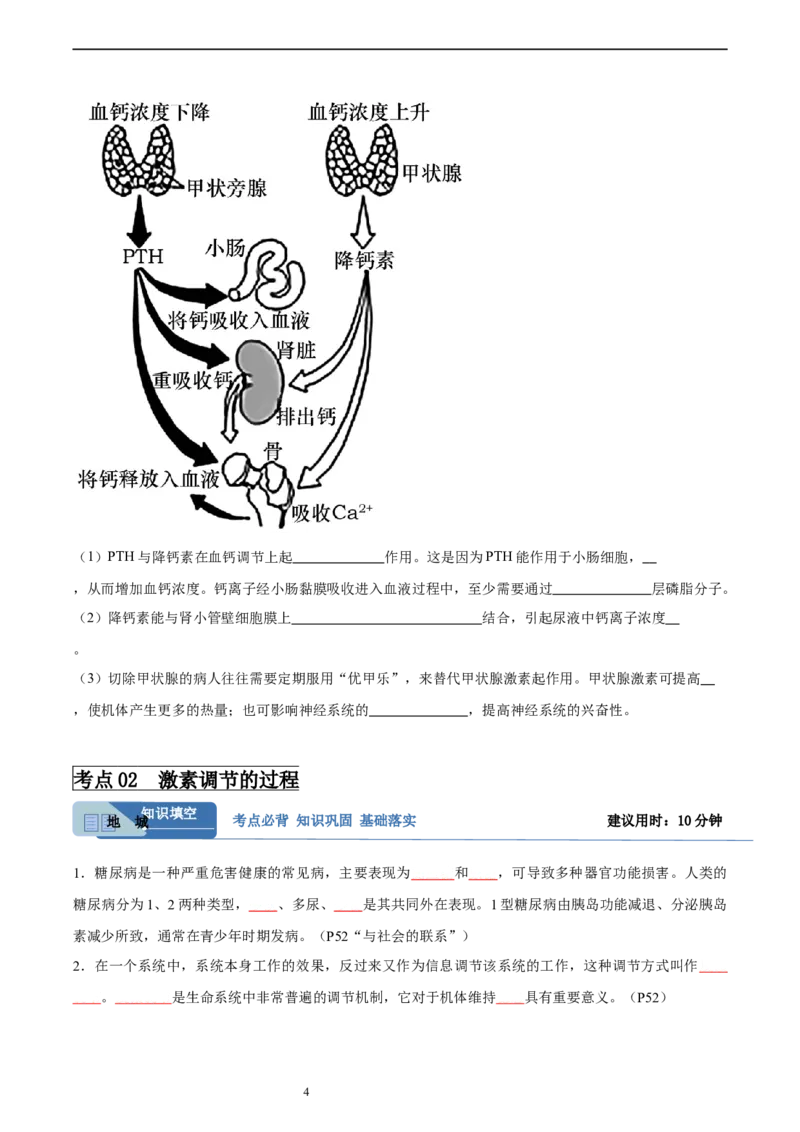 考点通关卷27体液调节（原卷版）_新高考复习资料_2024年新高考复习资料_一轮复习资料_完2024年高考生物一轮复习考点通关卷（新高考）_考点通关卷27体液调节