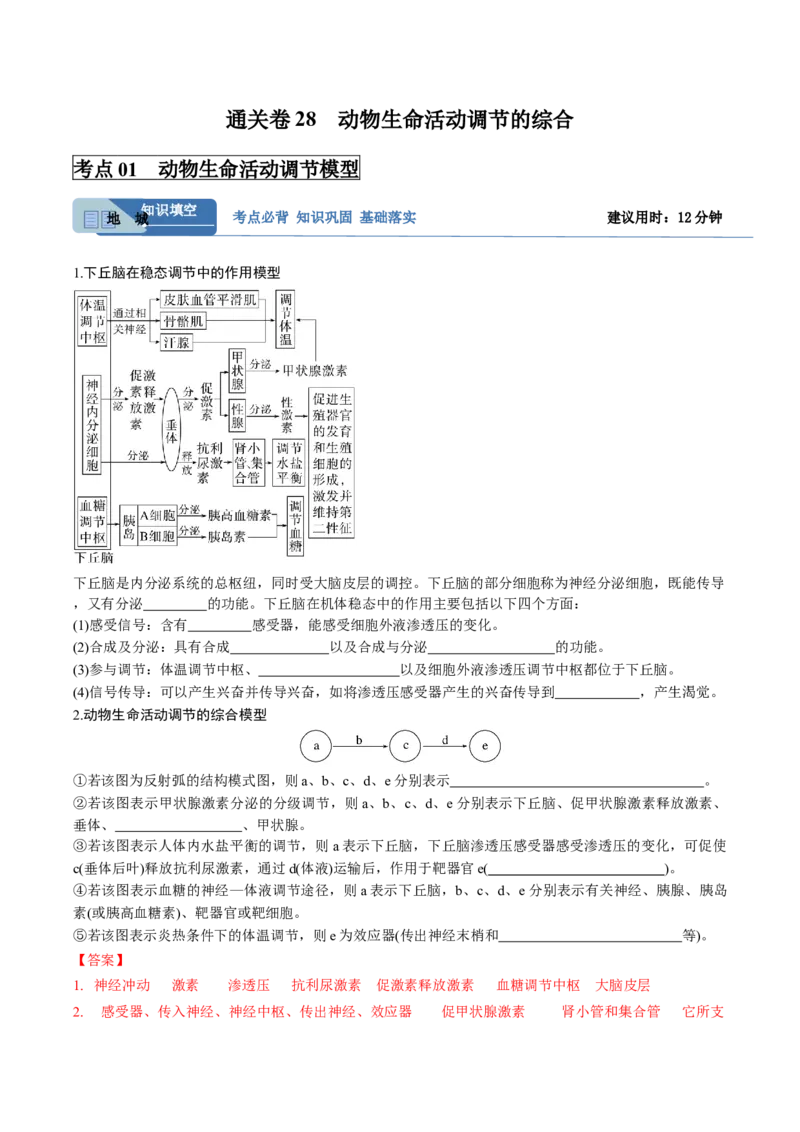 考点通关卷28动物生命活动调节的综合（解析版）_2025年新高考资料_一轮复习_2025年高考生物一轮复习考点通关卷（新高考通用）