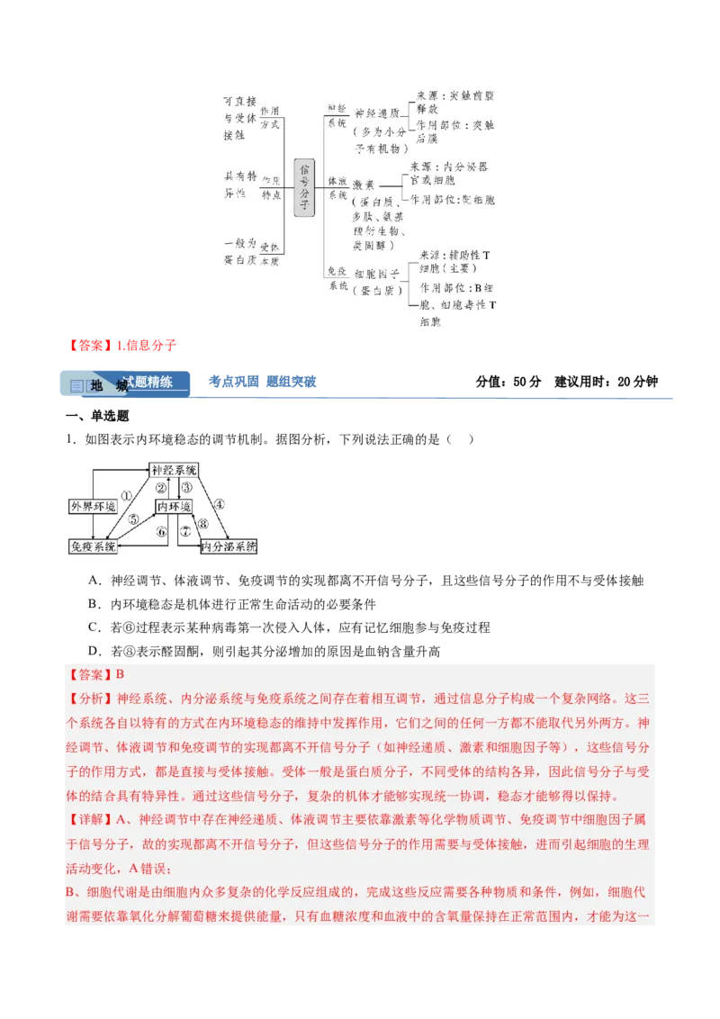 考点通关卷28动物生命活动调节的综合（解析版）_2025年新高考资料_一轮复习_2025年高考生物一轮复习考点通关卷（新高考通用）