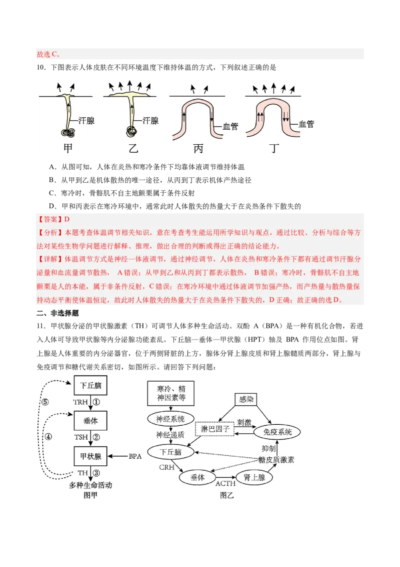 考点通关卷28动物生命活动调节的综合（解析版）_2025年新高考资料_一轮复习_2025年高考生物一轮复习考点通关卷（新高考通用）