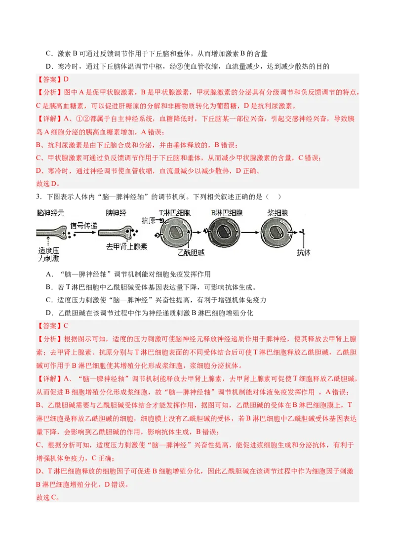 考点通关卷28动物生命活动调节的综合（解析版）_2025年新高考资料_一轮复习_2025年高考生物一轮复习考点通关卷（新高考通用）