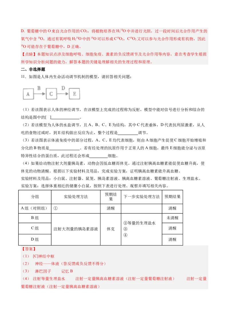 考点通关卷28动物生命活动调节的综合（解析版）_2025年新高考资料_一轮复习_2025年高考生物一轮复习考点通关卷（新高考通用）