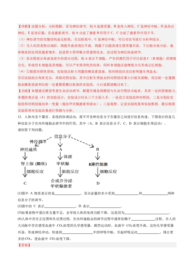考点通关卷28动物生命活动调节的综合（解析版）_2025年新高考资料_一轮复习_2025年高考生物一轮复习考点通关卷（新高考通用）