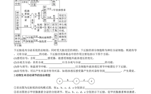 考点通关卷28动物生命活动调节的综合（解析版）_2025年新高考资料_一轮复习_2025年高考生物一轮复习考点通关卷（新高考通用）