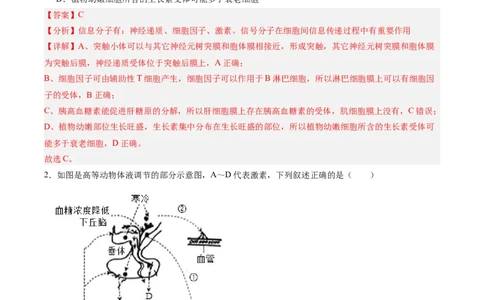 考点通关卷28动物生命活动调节的综合（解析版）_2025年新高考资料_一轮复习_2025年高考生物一轮复习考点通关卷（新高考通用）