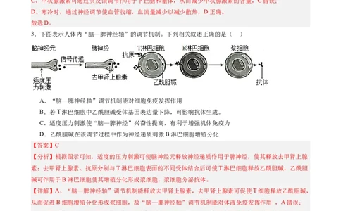 考点通关卷28动物生命活动调节的综合（解析版）_2025年新高考资料_一轮复习_2025年高考生物一轮复习考点通关卷（新高考通用）