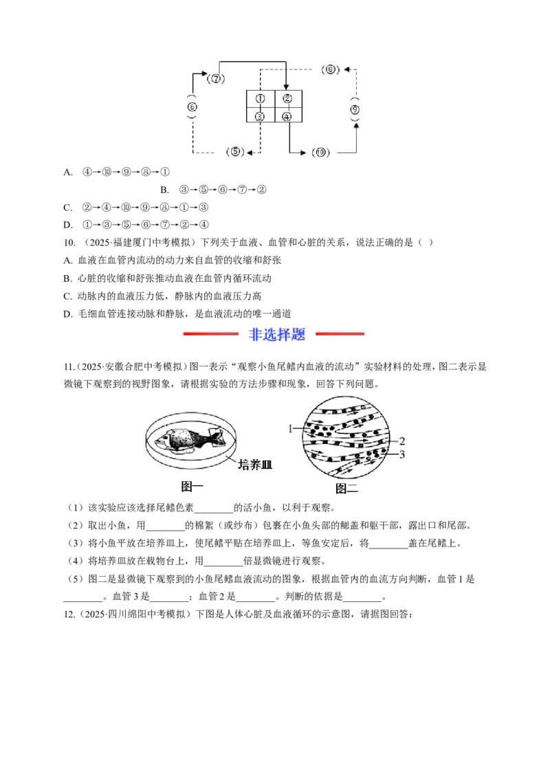 名师导航专题12人体内物质的运输--2026年中考生物一轮复习学案（原卷版）_6生物中考复习_2026年中考复习（更新中）_2026年中考生物一轮复习学案（原版卷+解析版）