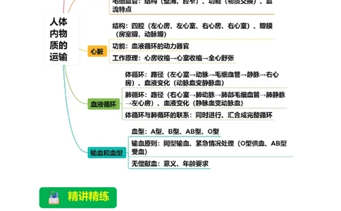 名师导航专题12人体内物质的运输--2026年中考生物一轮复习学案（原卷版）_6生物中考复习_2026年中考复习（更新中）_2026年中考生物一轮复习学案（原版卷+解析版）