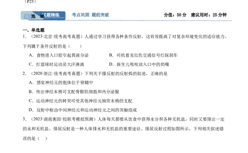 考点通关卷26神经调节（原卷版）_新高考复习资料_2024年新高考复习资料_一轮复习资料_完2024年高考生物一轮复习考点通关卷（新高考）_考点通关卷26神经调节