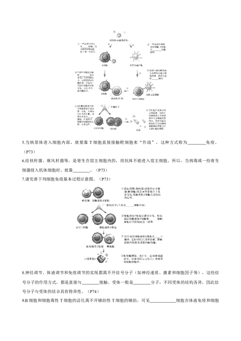 考点通关卷27免疫调节（原卷版）_2025年新高考资料_一轮复习_2025年高考生物一轮复习考点通关卷（新高考通用）