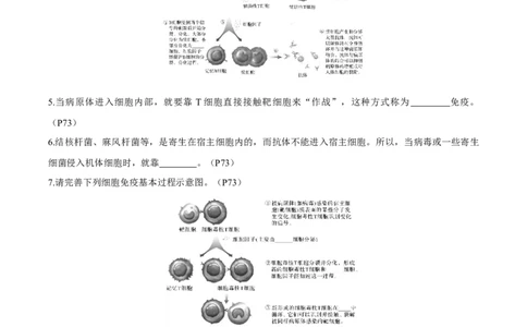 考点通关卷27免疫调节（原卷版）_2025年新高考资料_一轮复习_2025年高考生物一轮复习考点通关卷（新高考通用）