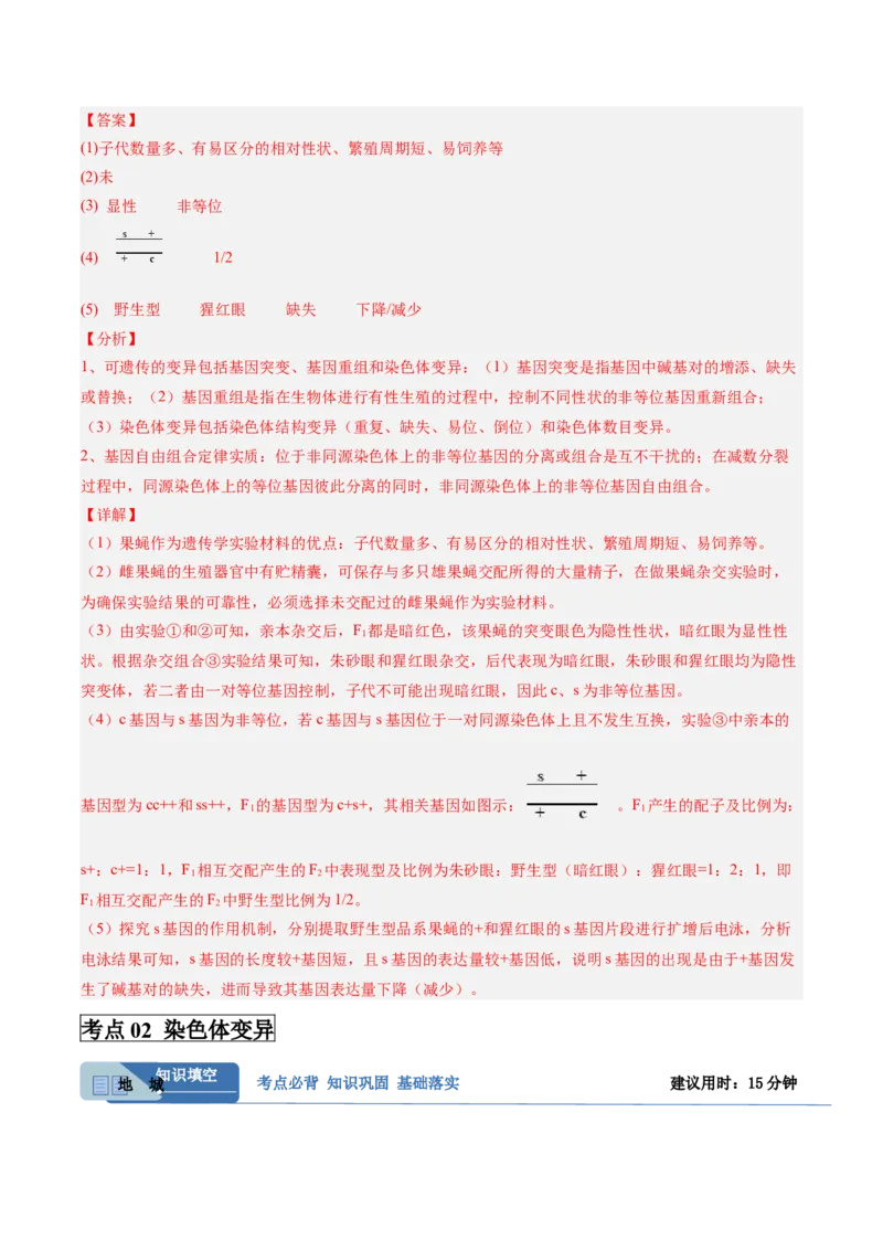 考点通关卷22生物的变异（解析版）_2025年新高考资料_一轮复习_2025年高考生物一轮复习考点通关卷（新高考通用）