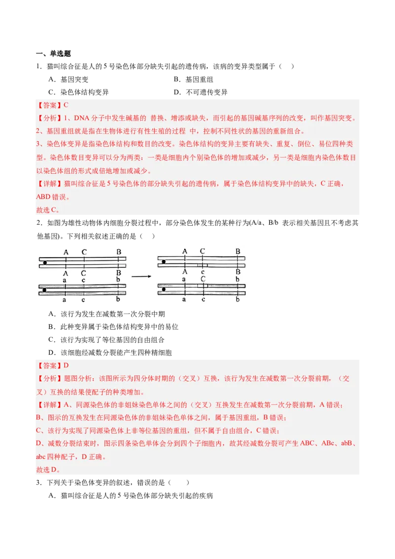 考点通关卷22生物的变异（解析版）_2025年新高考资料_一轮复习_2025年高考生物一轮复习考点通关卷（新高考通用）