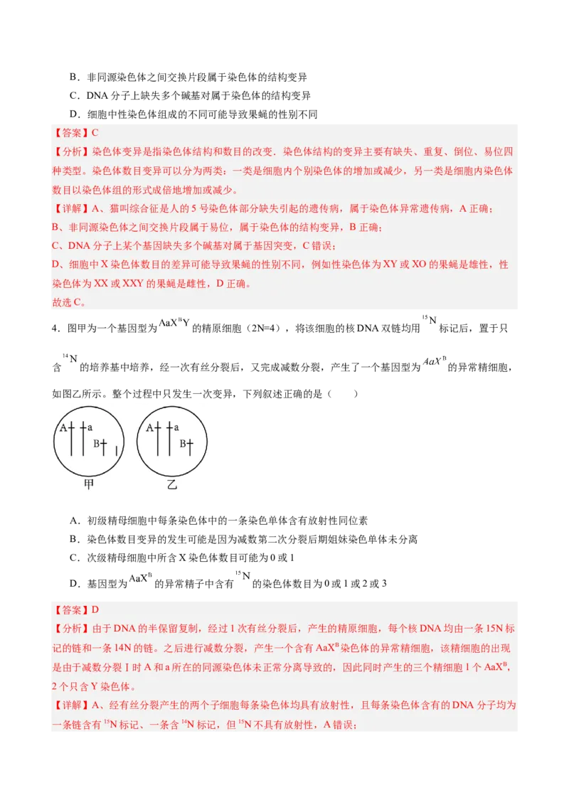 考点通关卷22生物的变异（解析版）_2025年新高考资料_一轮复习_2025年高考生物一轮复习考点通关卷（新高考通用）