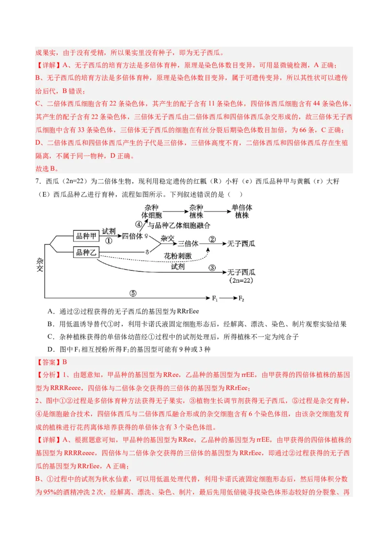考点通关卷22生物的变异（解析版）_2025年新高考资料_一轮复习_2025年高考生物一轮复习考点通关卷（新高考通用）