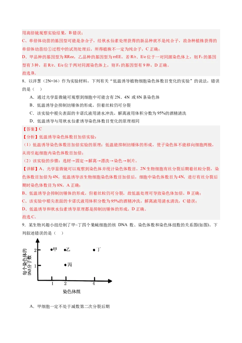 考点通关卷22生物的变异（解析版）_2025年新高考资料_一轮复习_2025年高考生物一轮复习考点通关卷（新高考通用）