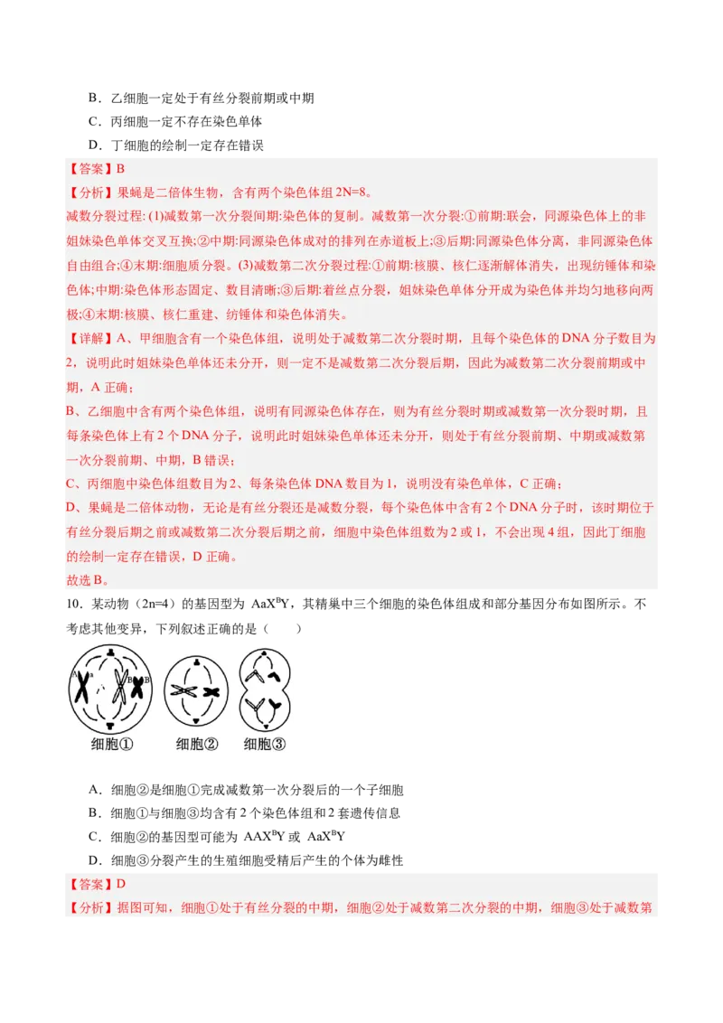 考点通关卷22生物的变异（解析版）_2025年新高考资料_一轮复习_2025年高考生物一轮复习考点通关卷（新高考通用）