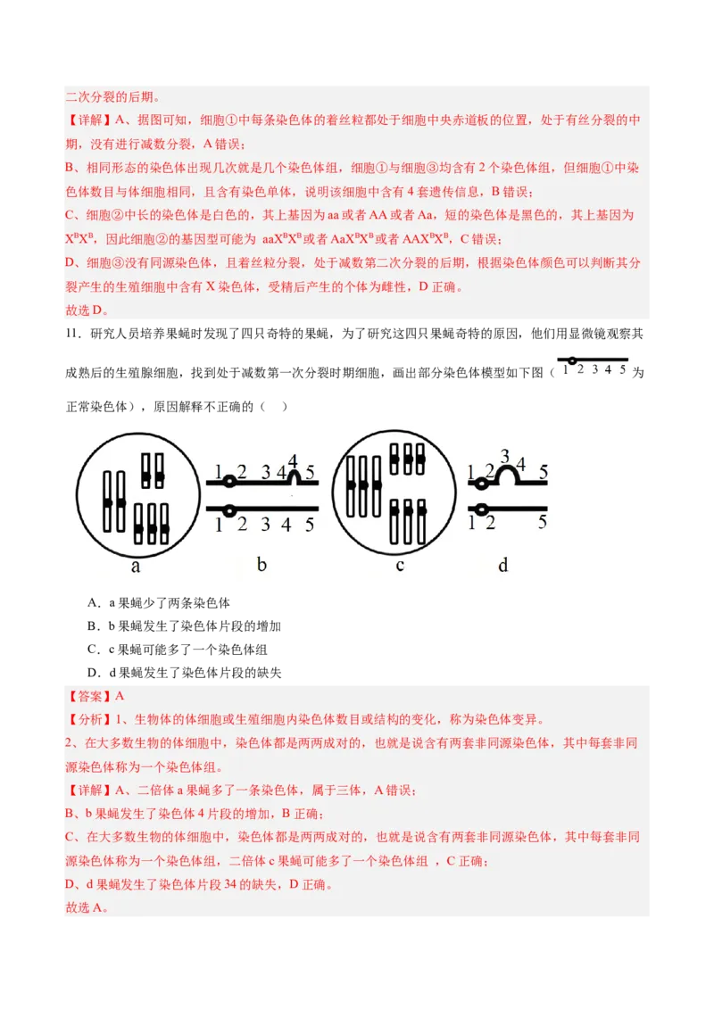 考点通关卷22生物的变异（解析版）_2025年新高考资料_一轮复习_2025年高考生物一轮复习考点通关卷（新高考通用）