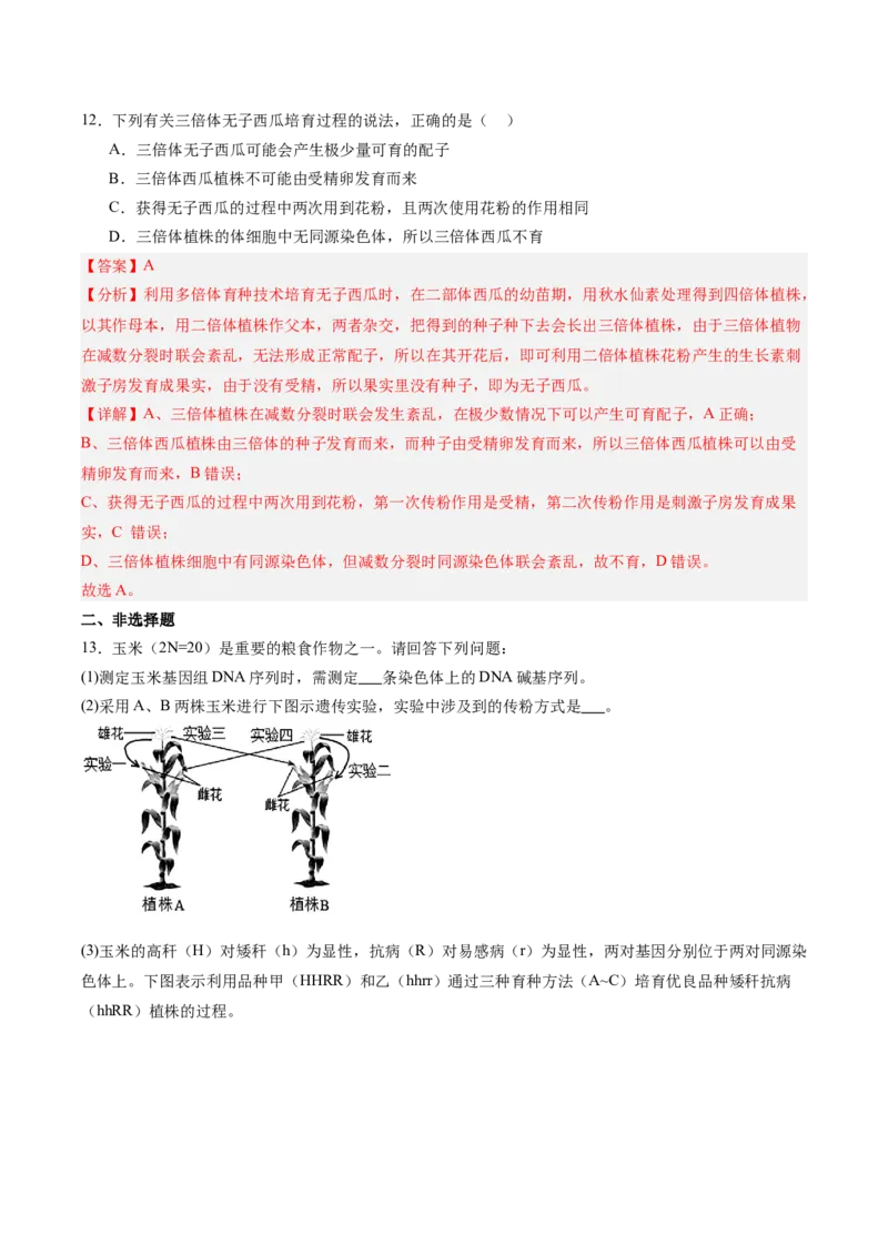 考点通关卷22生物的变异（解析版）_2025年新高考资料_一轮复习_2025年高考生物一轮复习考点通关卷（新高考通用）