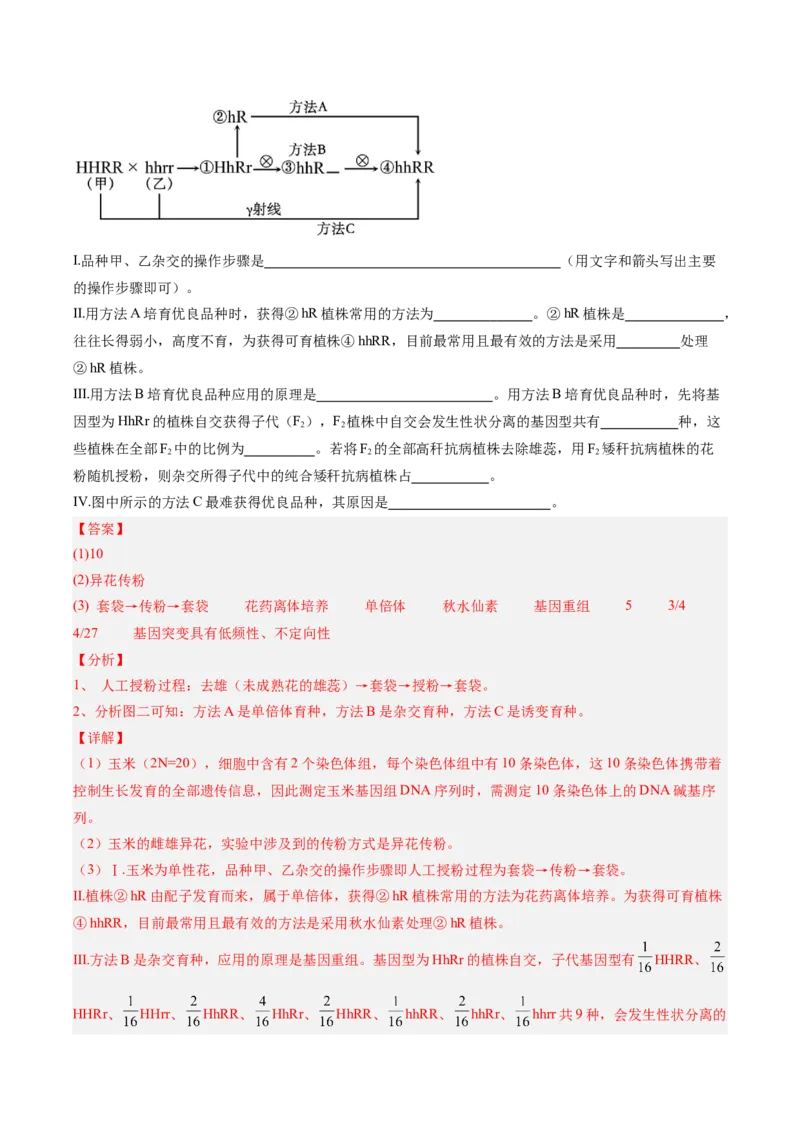 考点通关卷22生物的变异（解析版）_2025年新高考资料_一轮复习_2025年高考生物一轮复习考点通关卷（新高考通用）