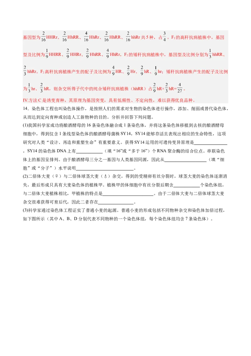 考点通关卷22生物的变异（解析版）_2025年新高考资料_一轮复习_2025年高考生物一轮复习考点通关卷（新高考通用）