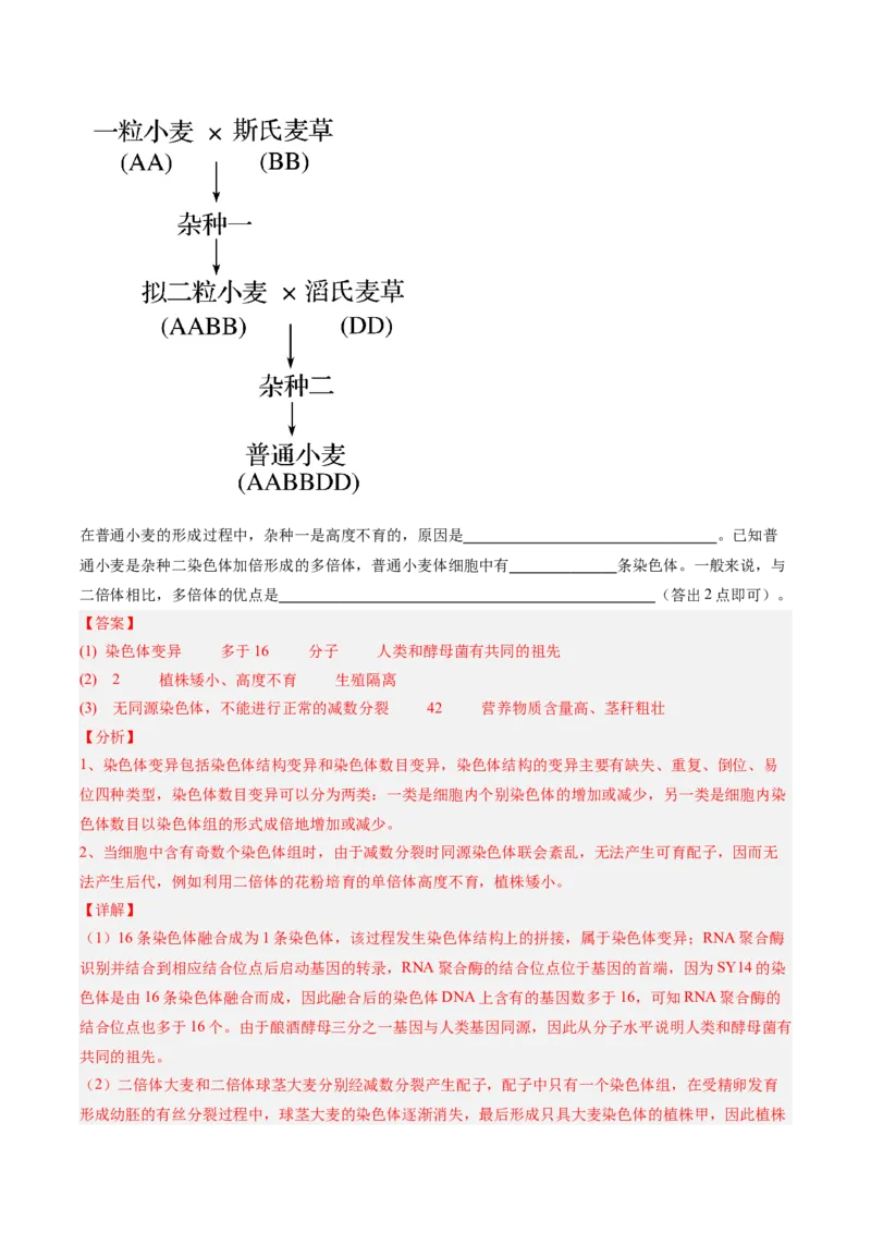 考点通关卷22生物的变异（解析版）_2025年新高考资料_一轮复习_2025年高考生物一轮复习考点通关卷（新高考通用）
