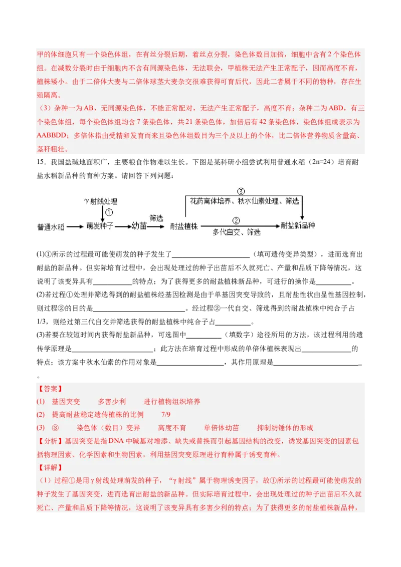 考点通关卷22生物的变异（解析版）_2025年新高考资料_一轮复习_2025年高考生物一轮复习考点通关卷（新高考通用）