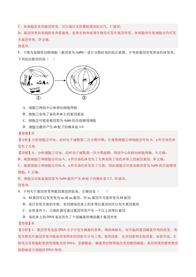 考点通关卷22生物的变异（解析版）_2025年新高考资料_一轮复习_2025年高考生物一轮复习考点通关卷（新高考通用）
