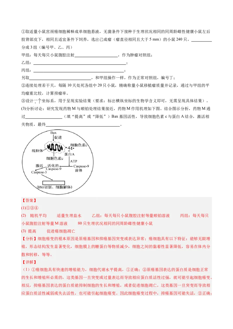 考点通关卷22生物的变异（解析版）_2025年新高考资料_一轮复习_2025年高考生物一轮复习考点通关卷（新高考通用）
