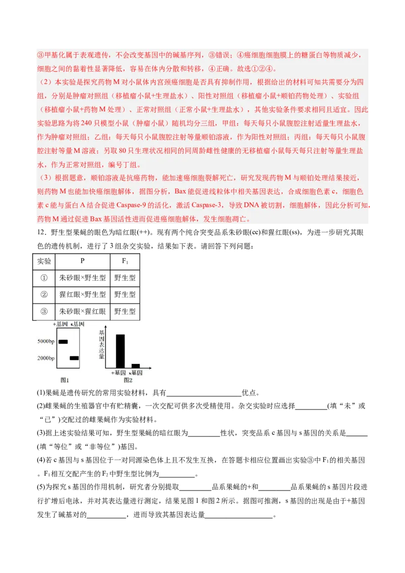 考点通关卷22生物的变异（解析版）_2025年新高考资料_一轮复习_2025年高考生物一轮复习考点通关卷（新高考通用）