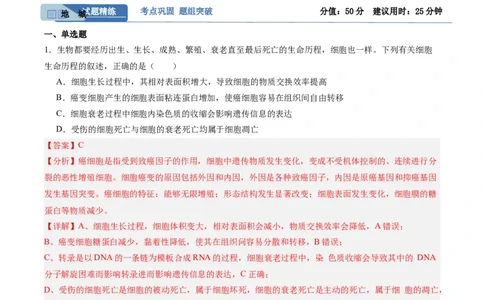 考点通关卷22生物的变异（解析版）_2025年新高考资料_一轮复习_2025年高考生物一轮复习考点通关卷（新高考通用）
