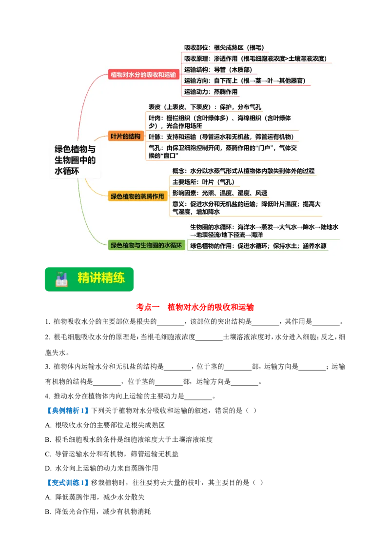 名师导航专题06绿色植物与生物圈中的水循环--2026年中考生物一轮复习学案（原卷版）_6生物中考复习_2026年中考复习（更新中）_2026年中考生物一轮复习学案（原版卷+解析版）