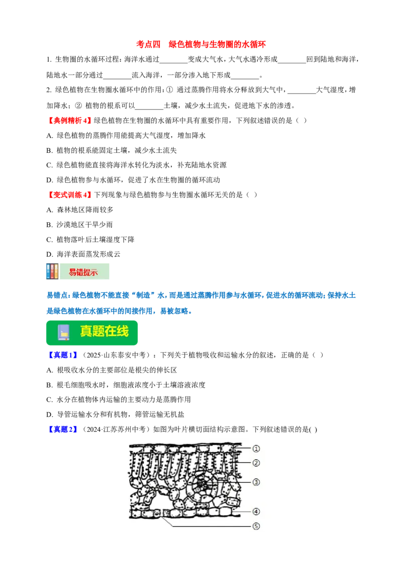 名师导航专题06绿色植物与生物圈中的水循环--2026年中考生物一轮复习学案（原卷版）_6生物中考复习_2026年中考复习（更新中）_2026年中考生物一轮复习学案（原版卷+解析版）