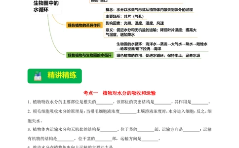 名师导航专题06绿色植物与生物圈中的水循环--2026年中考生物一轮复习学案（原卷版）_6生物中考复习_2026年中考复习（更新中）_2026年中考生物一轮复习学案（原版卷+解析版）