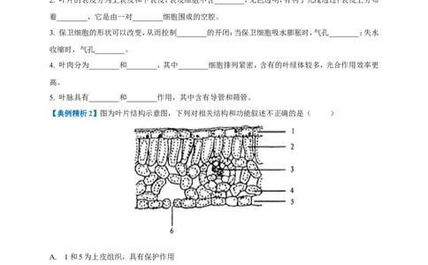 名师导航专题06绿色植物与生物圈中的水循环--2026年中考生物一轮复习学案（原卷版）_6生物中考复习_2026年中考复习（更新中）_2026年中考生物一轮复习学案（原版卷+解析版）
